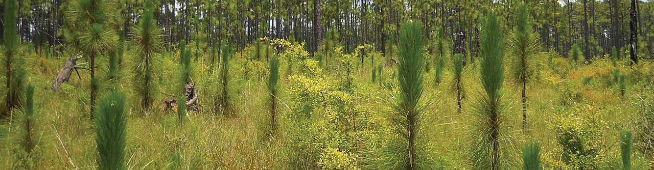 Where Industry Meets Nature | Camp Hall